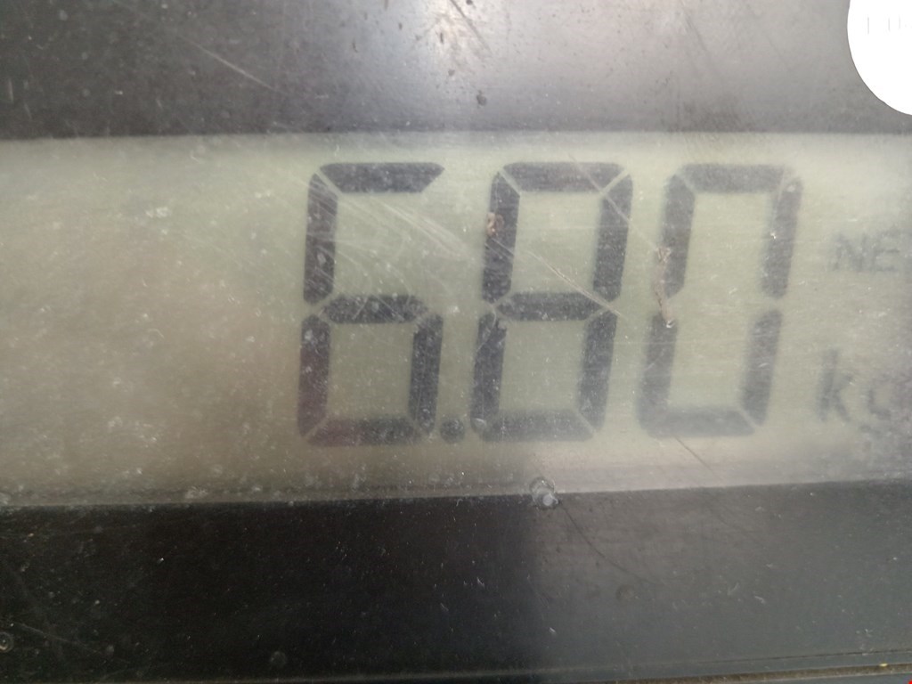 Амортизатор задний правый MERCEDES-BENZ S-Class IV W220 1998-2005