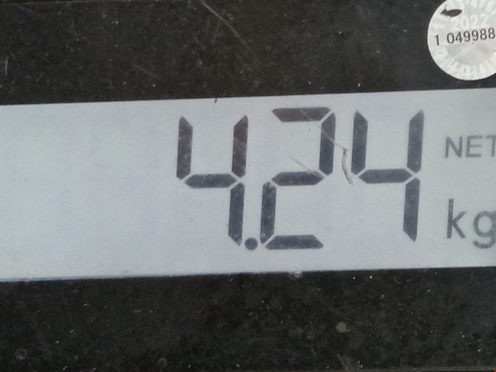 Рычаг передний левый BMW X5 E53 1999-2006