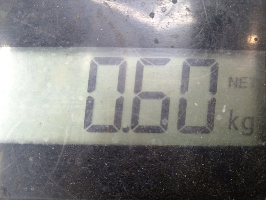 Рычаг задний правый FORD Focus I 1998-2005