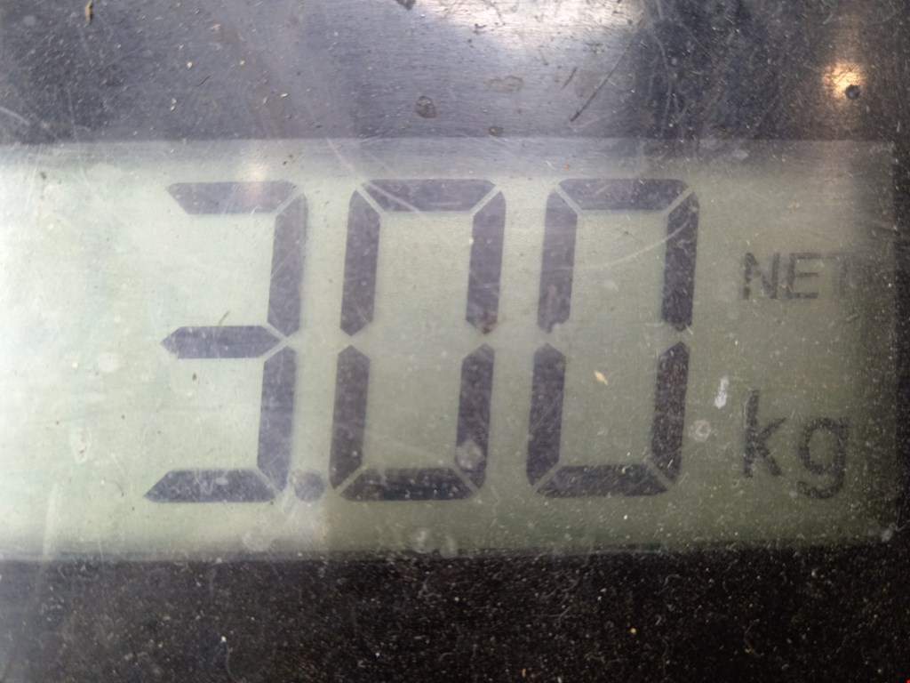 Рычаг передний правый IVECO Daily III 1999-2006