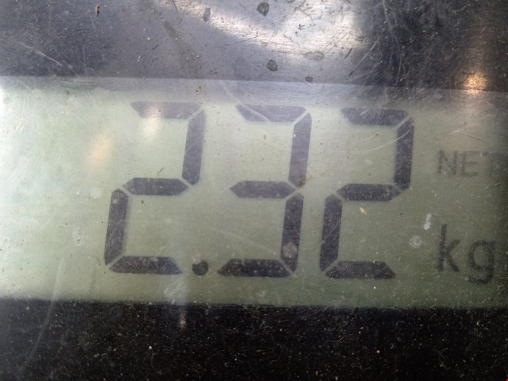 Рычаг передний правый IVECO Daily III 1999-2006