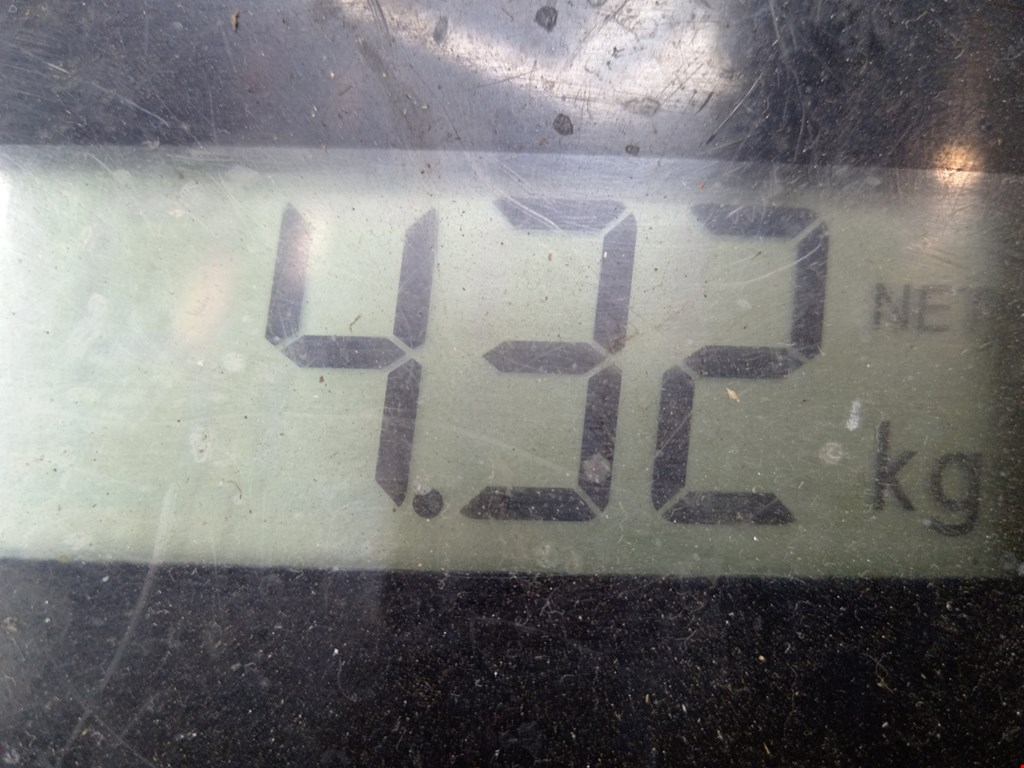 Рычаг передний правый IVECO Daily III 1999-2006