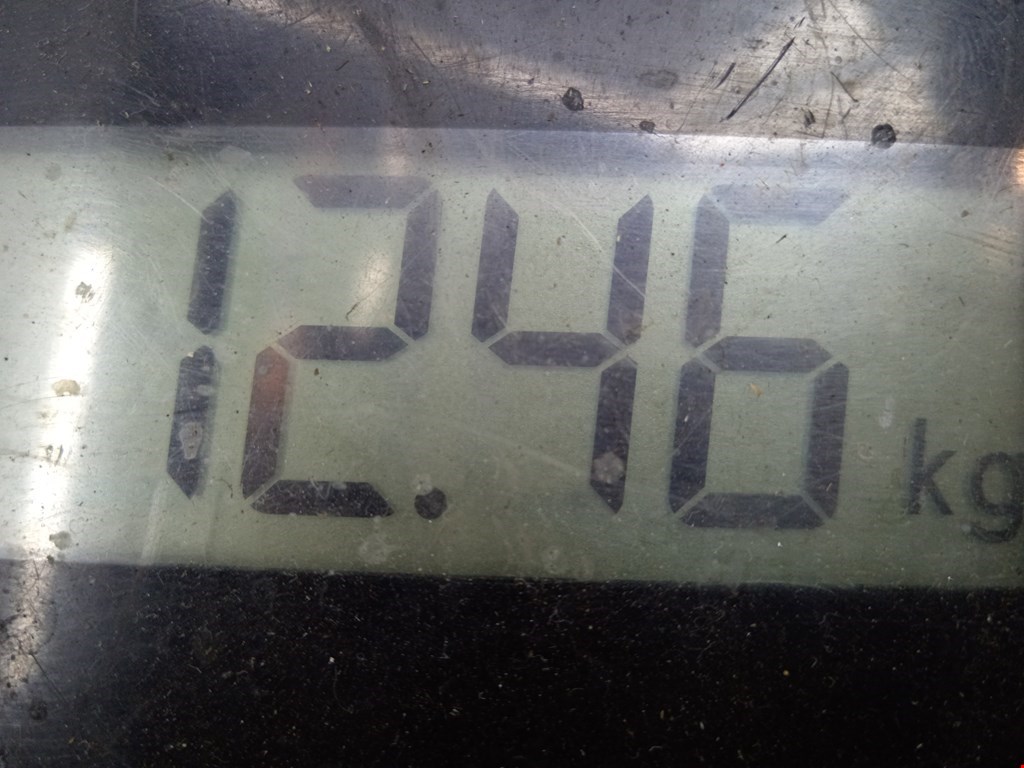 Ступица передняя левая IVECO Daily III 1999-2006