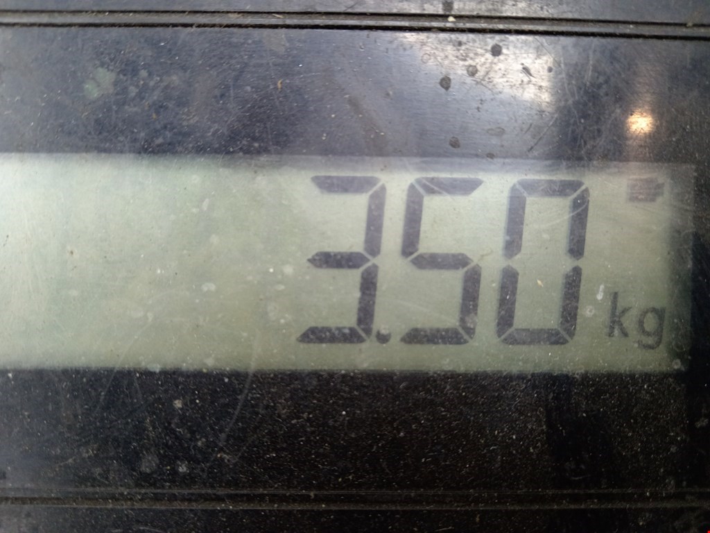 Рычаг передний правый IVECO Daily III 1999-2006