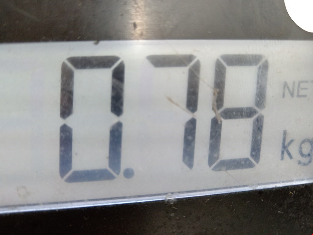 Рычаг задний правый FORD Focus I 1998-2005