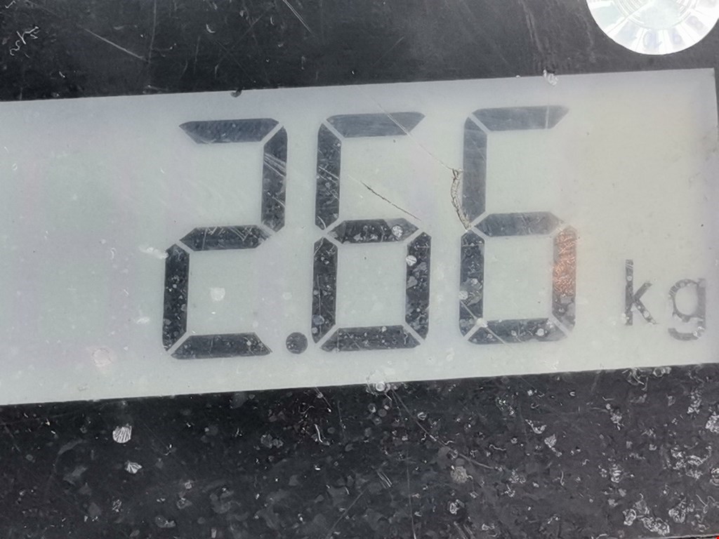 Стартер OPEL Vectra Vectra C 2002-2008