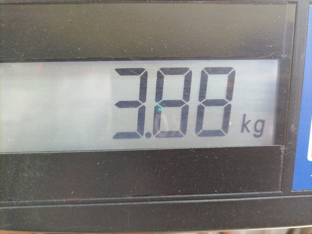 Усилитель переднего бампера (передний) AUDI A3 8L 1996-2003