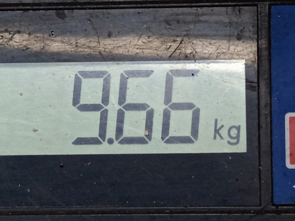 Амортизатор передний левый LAND ROVER Range Rover Sport 2005-2013