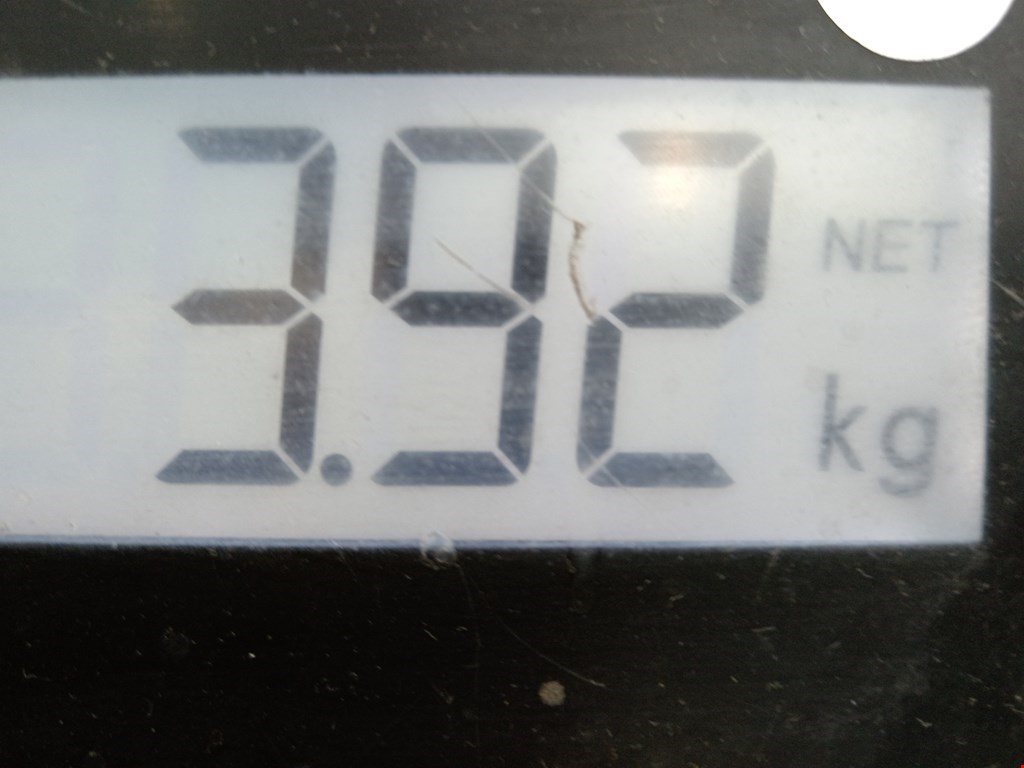 Пружина задняя левая/правая AUDI A3 8P 2003-2013