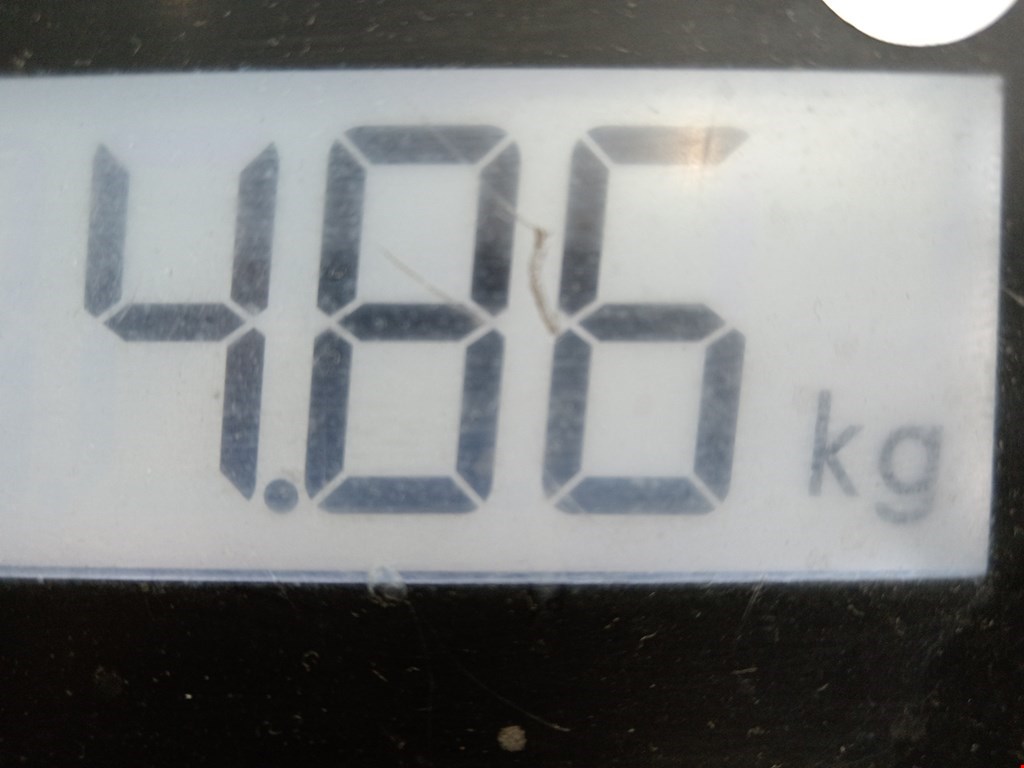 Пружина задняя левая/правая TOYOTA RAV 4 XA30 2006-2012