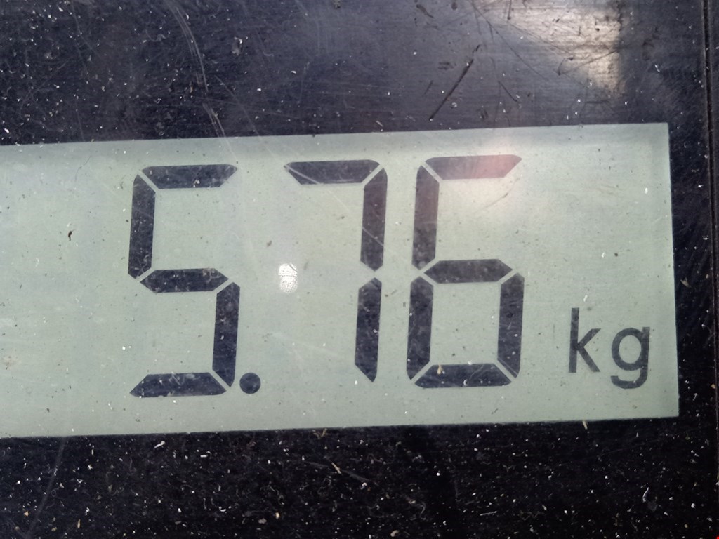 Амортизатор передний левый VOLKSWAGEN Passat B5 1997-2005