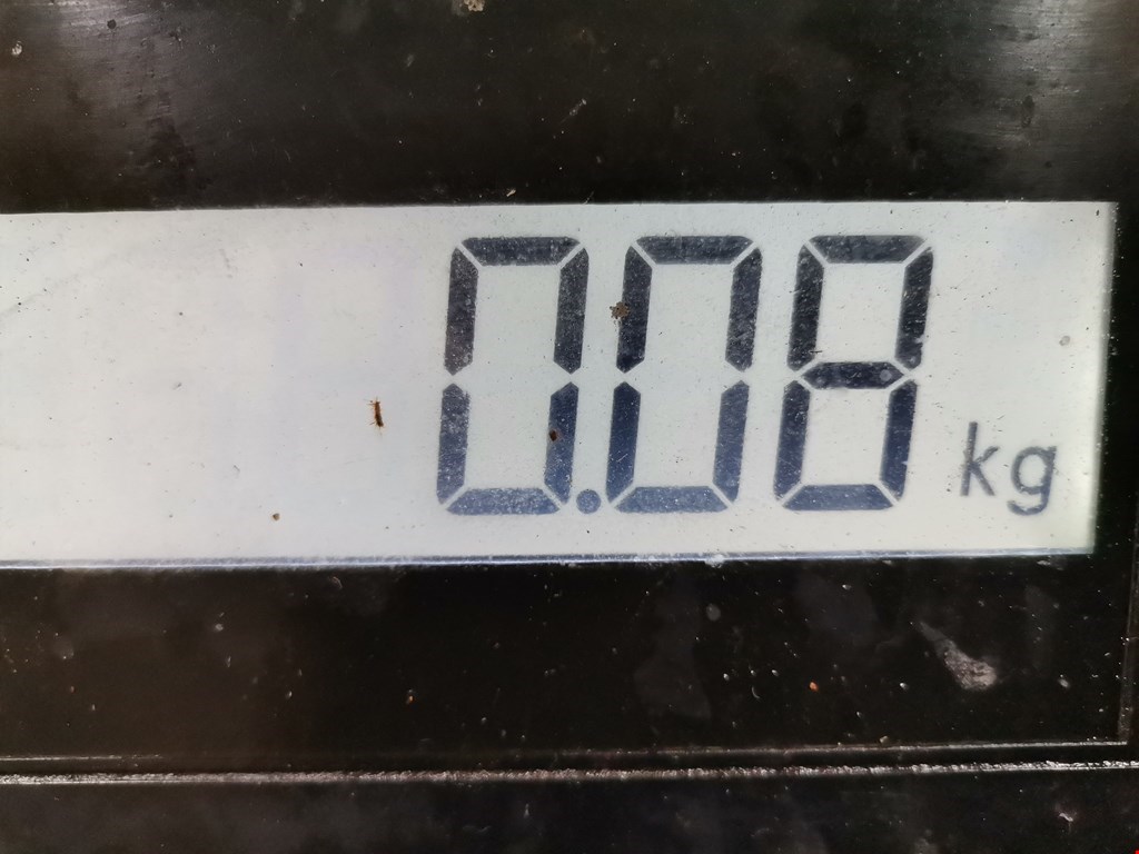 Трубка нагнетателя VOLKSWAGEN Passat B5 1997-2005