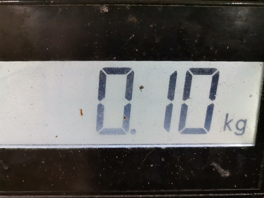 Датчик кислородный lambdasond RENAULT Scenic I 1996-2003