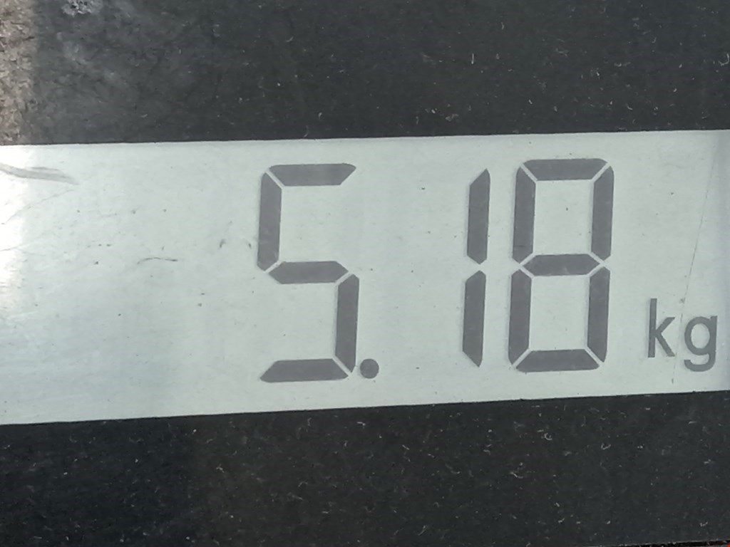 Пружина задняя левая/правая OPEL Zafira B 2005-2012