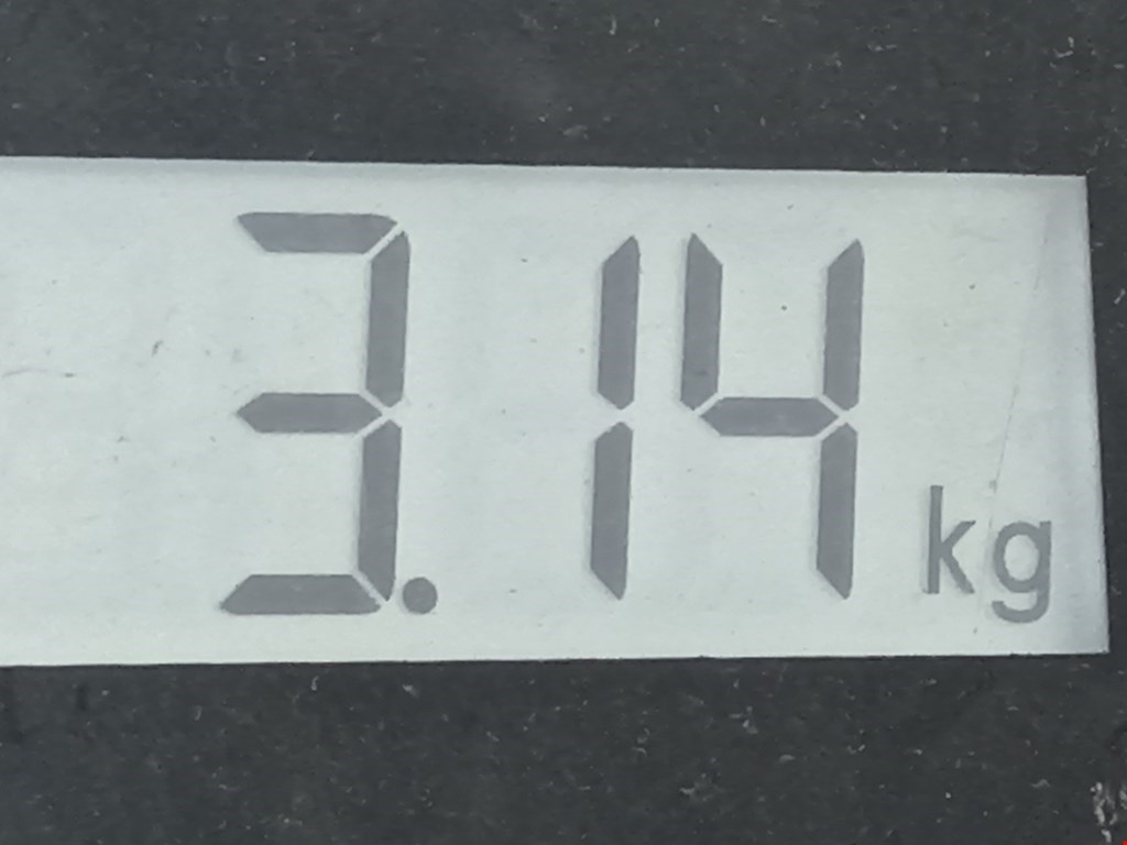 Пружина задняя левая/правая OPEL Astra K 2015-2021