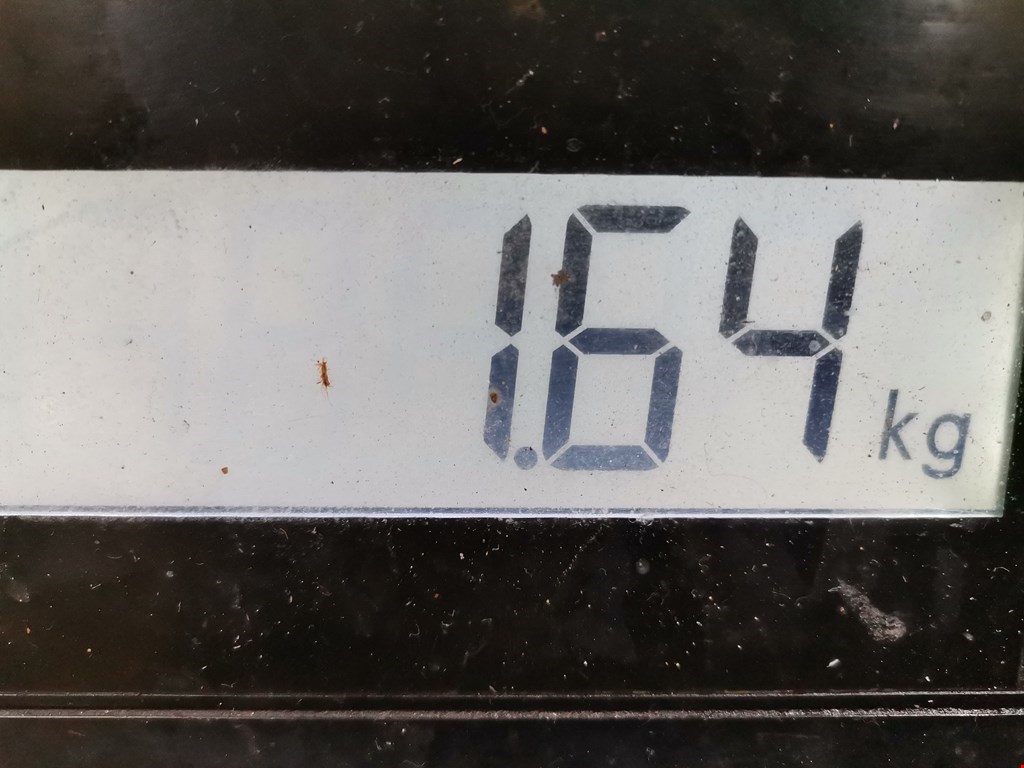 Радиатор системы ЕГР RENAULT Espace 2003-2014