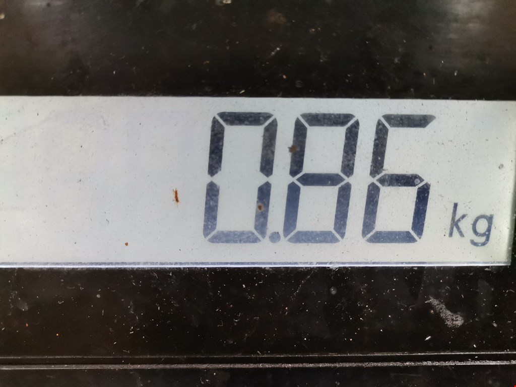 Защита антигравийная RENAULT Espace 2003-2014