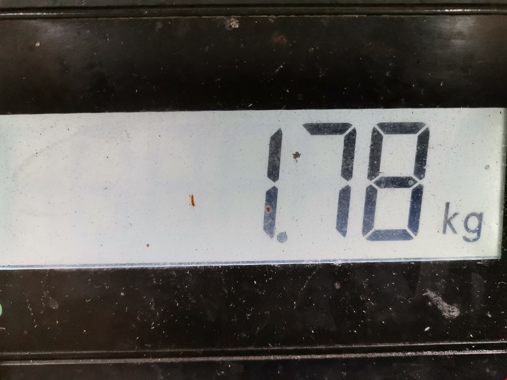 Коллектор впускной RENAULT Espace 2003-2014