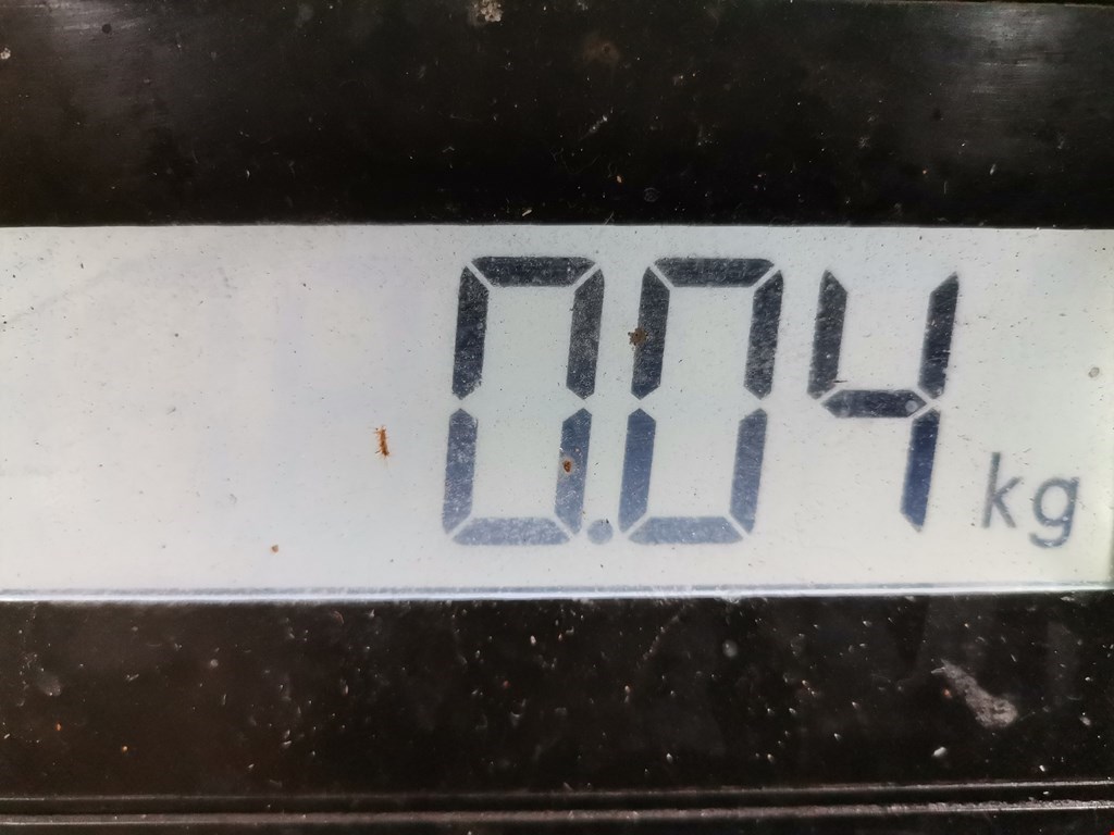 Датчик положения коленвала HYUNDAI Coupe 2002-2009