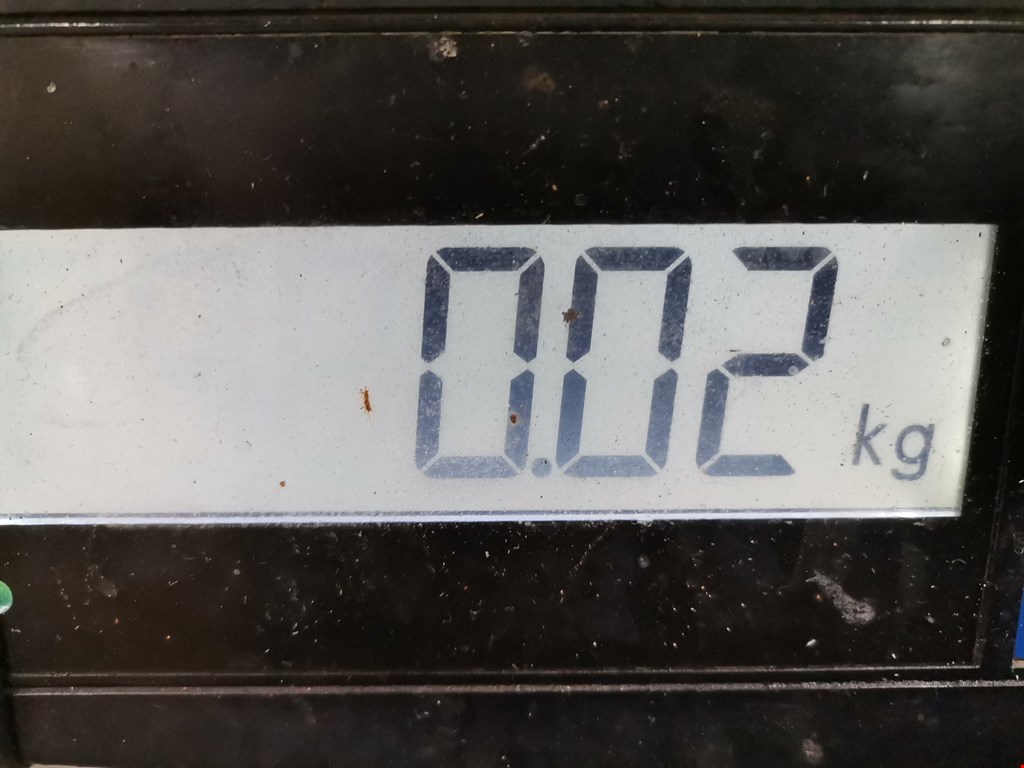 Датчик положения распредвала RENAULT Espace 2003-2014