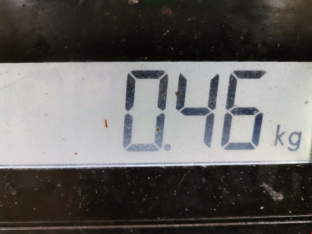 Форсунка дизельная электрическая ALFA ROMEO 159 2005-2011