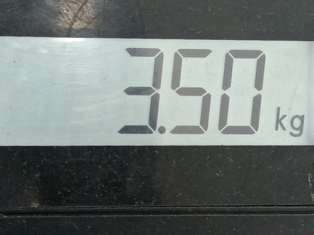 Пружина задняя левая/правая PEUGEOT 308 2007-2015