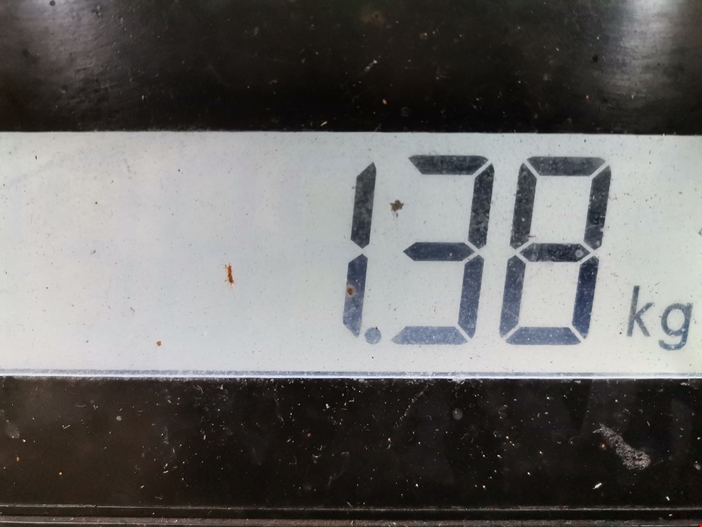 Шестерня коленвала (шкив) HYUNDAI i30 2007-2012