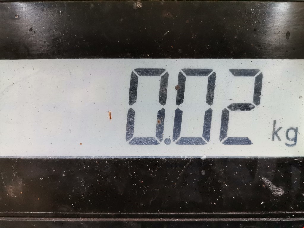 Датчик положения распредвала HYUNDAI i30 2007-2012