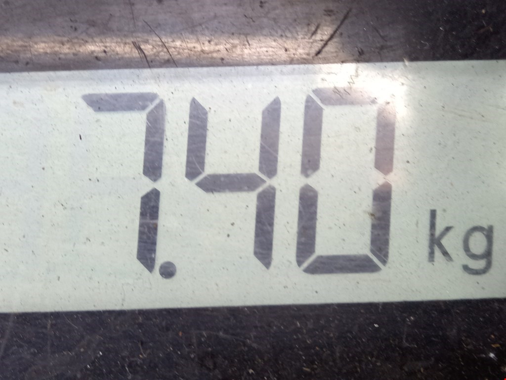 Амортизатор передний правый NISSAN Pathfinder R51M 2004-2014