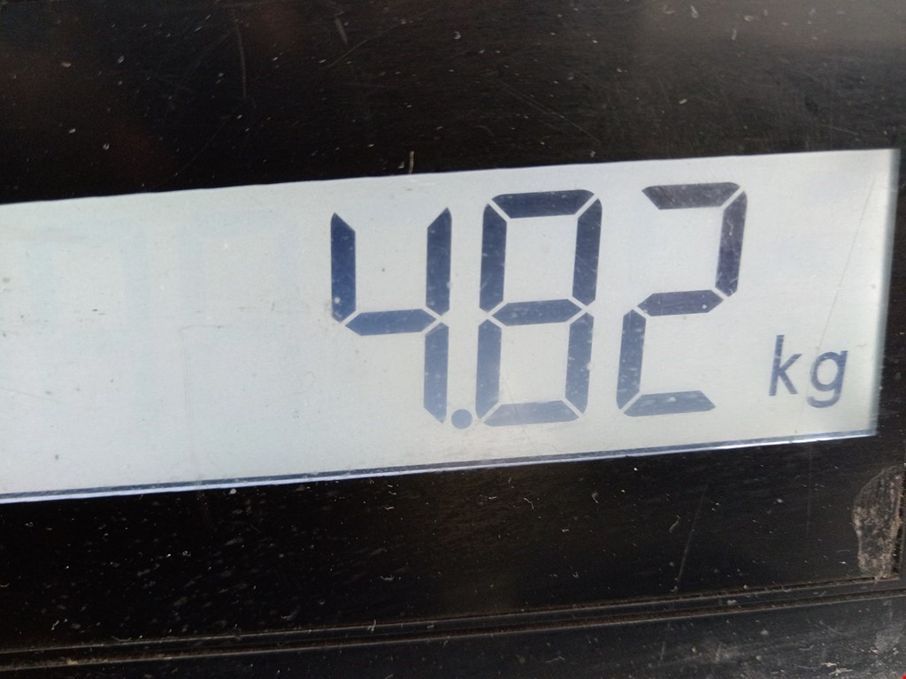 Суппорт передний правый FORD Focus III 2011-2019