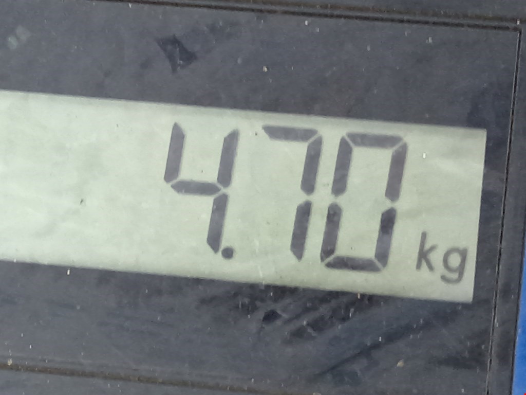 Амортизатор передний правый BMW 5er 5 серия F10/F11/F07 2009-2017