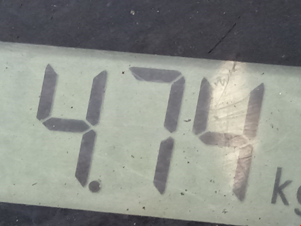 Амортизатор передний левый RENAULT Captur II 2019-н.в.