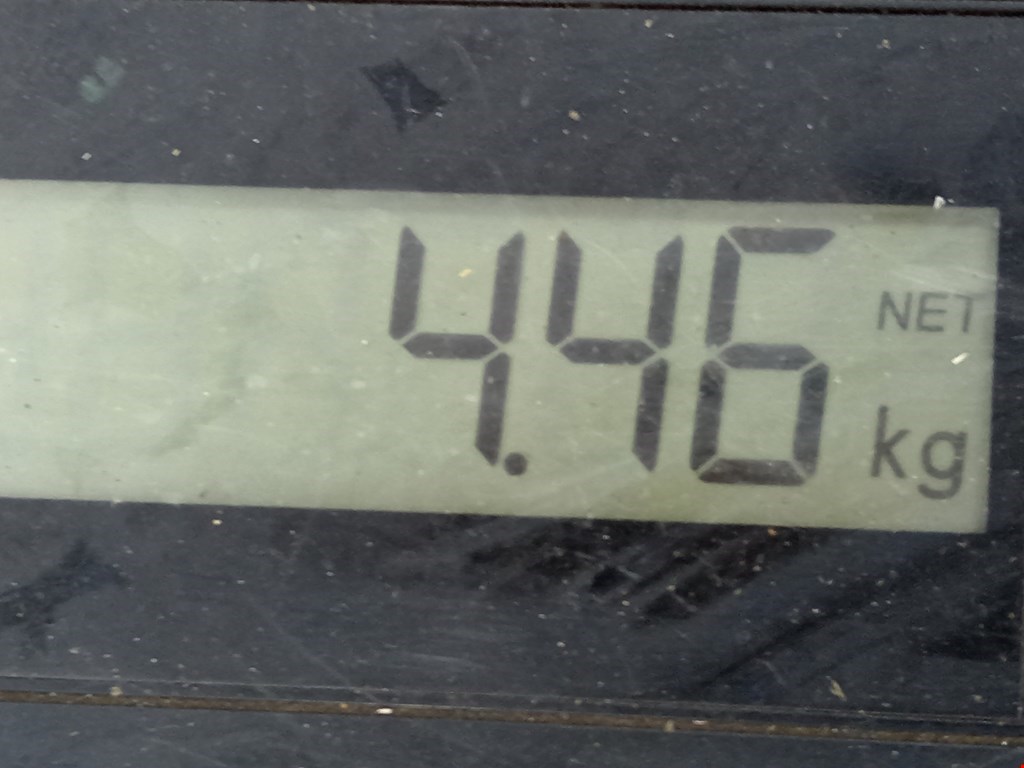 Амортизатор передний правый SKODA Rapid 2012-2020