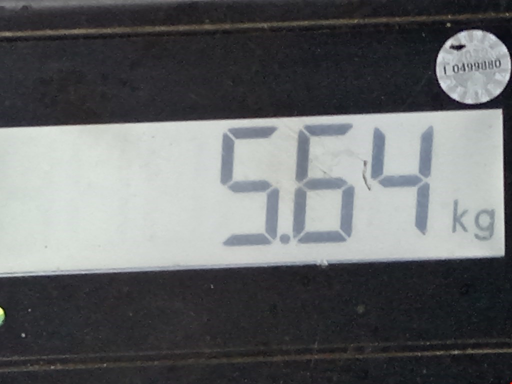 Лонжерон передний правый OPEL Astra H/Family 2004-2015