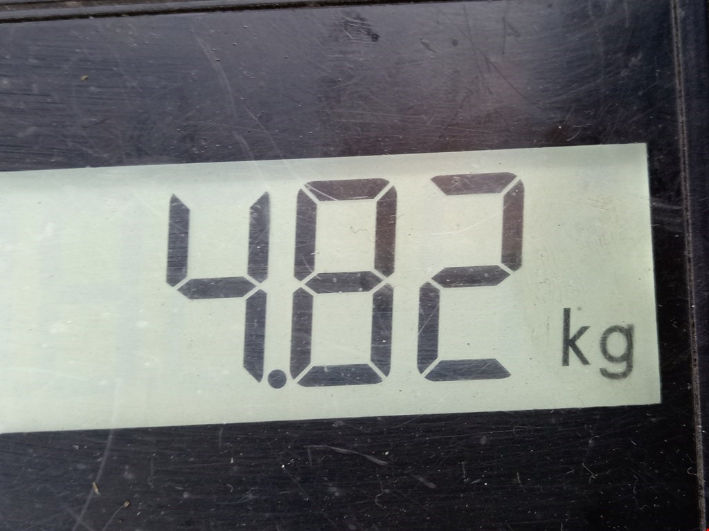 Лонжерон передний левый AUDI A4 B7 2004-2007