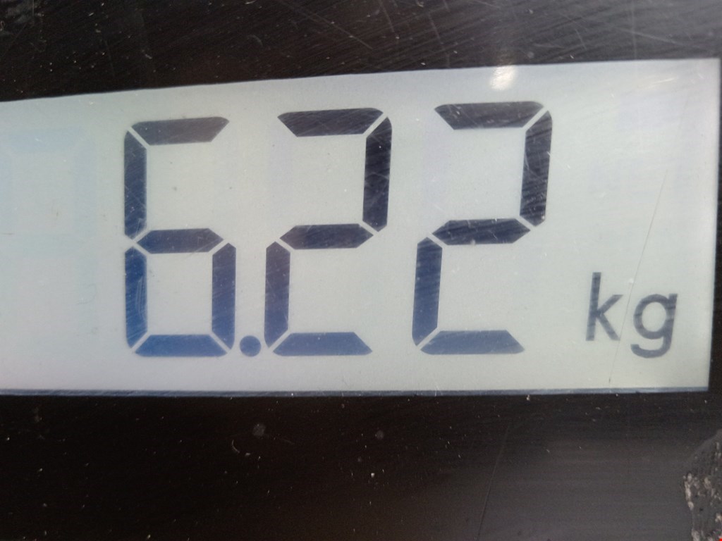 Амортизатор передний правый FIAT Grande Punto 2005-2009