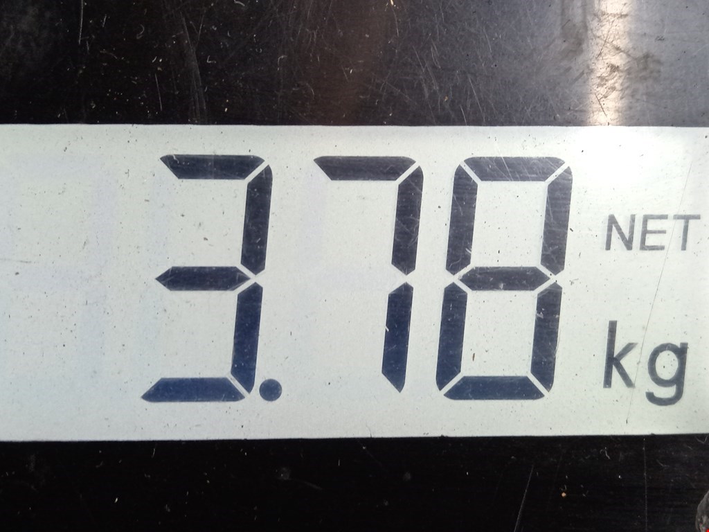 Пружина задняя левая/правая OPEL Astra H/Family 2004-2015