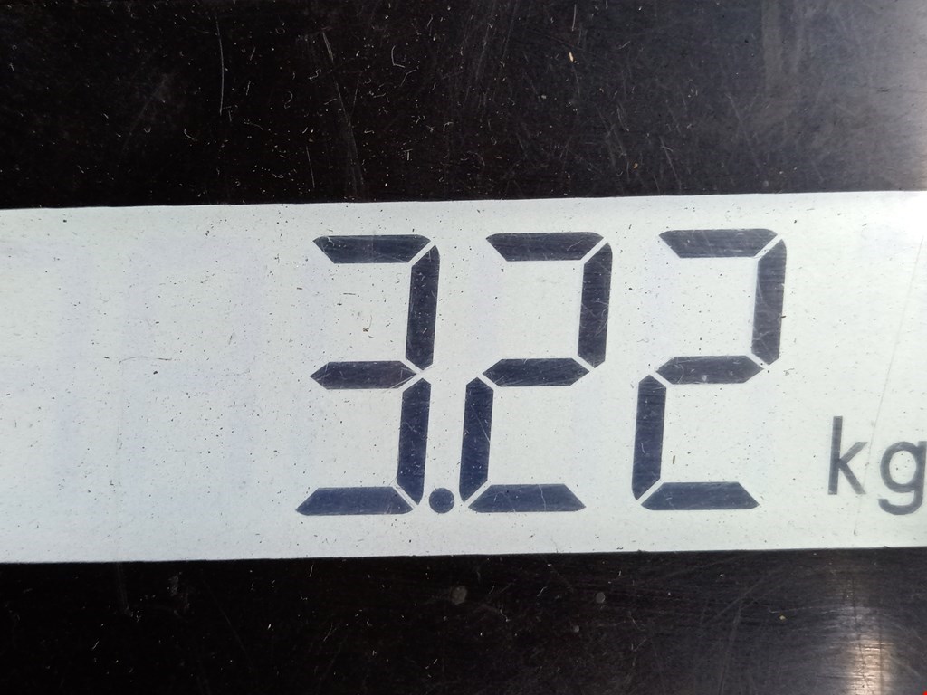 Пружина задняя левая/правая VOLKSWAGEN Bora 1998-2005