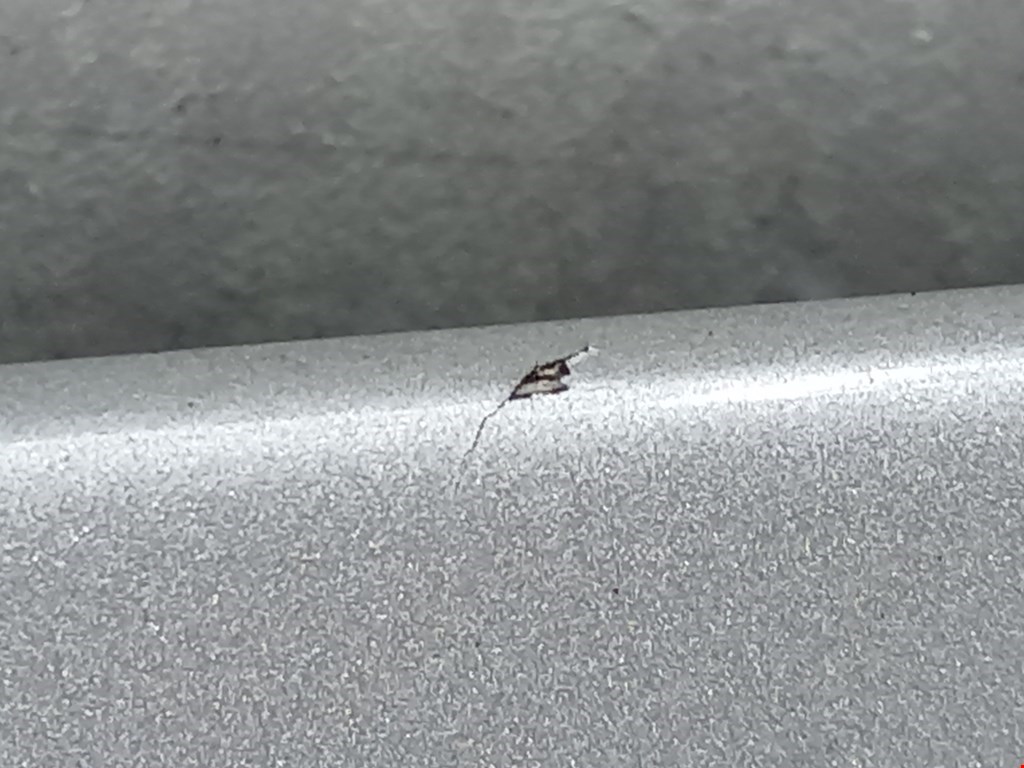 Спойлер BMW X3 E83 2003-2010