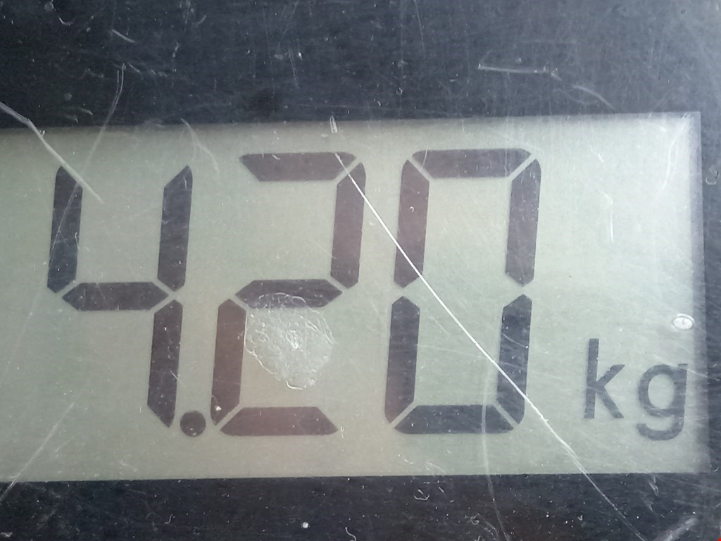 Рычаг передний левый BMW X5 E53 1999-2006