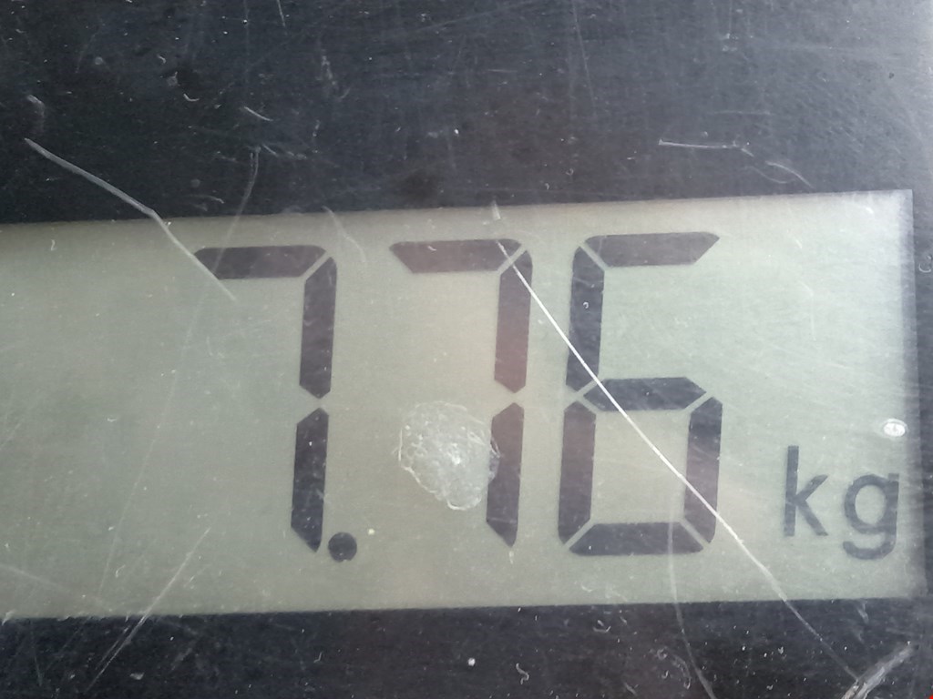 Амортизатор передний правый DAEWOO Nubira 2003-2007