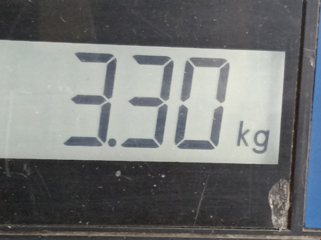 Подушка безопасности пассажирская (в торпедо) BMW 5er 5 серия E39 1995-2004