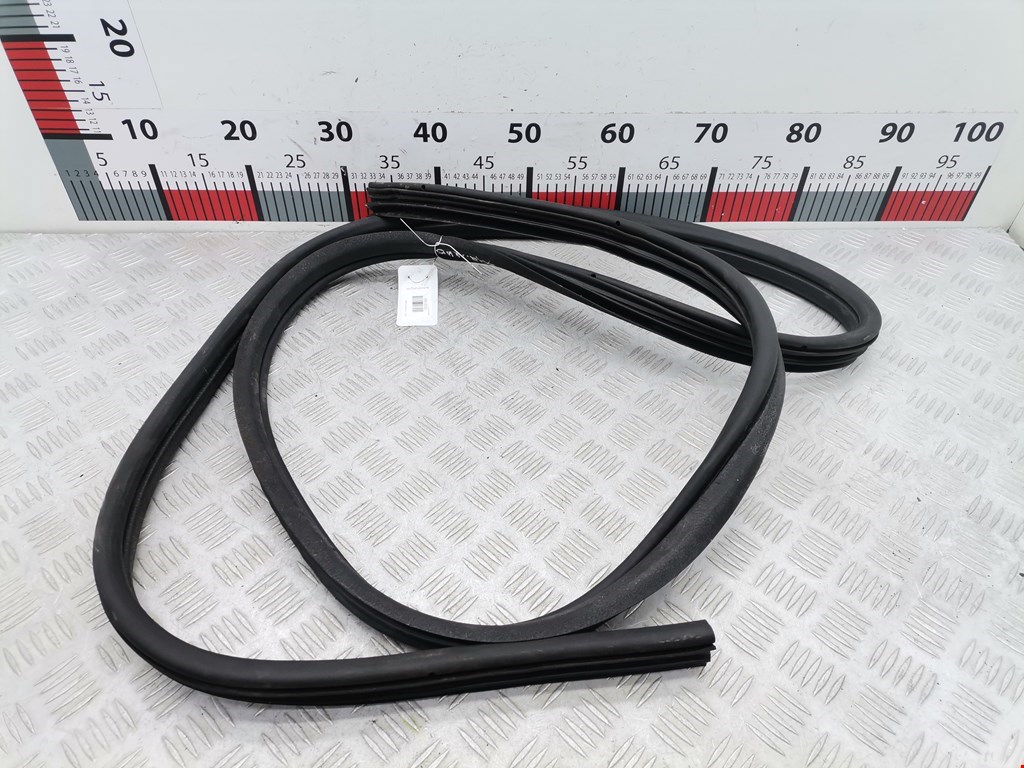 Уплотнитель двери RENAULT Scenic I 1996-2003