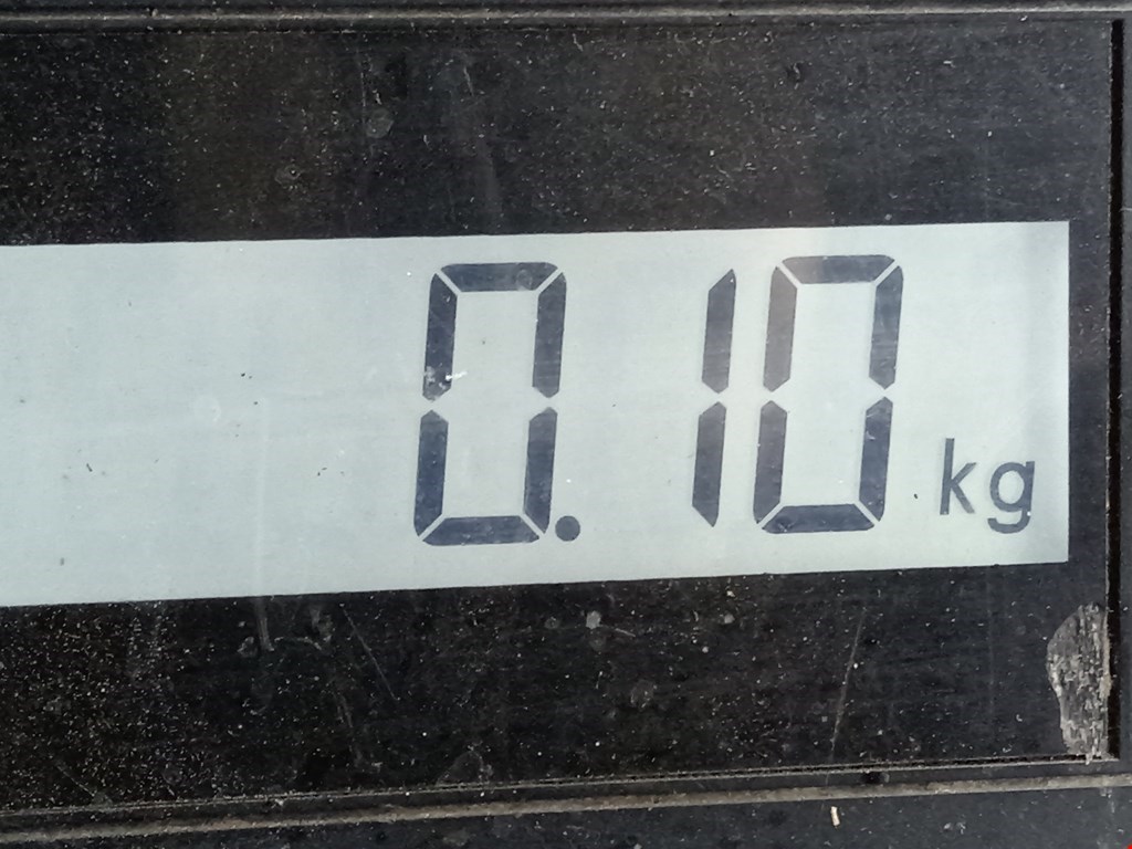 Ручка дверная задняя внутренняя левая RENAULT Scenic II 2003-2010