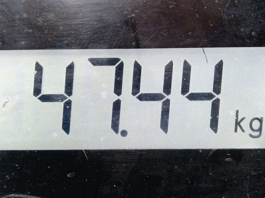 МКПП (Механическая коробка переключения передач) FORD Focus I 1998-2005