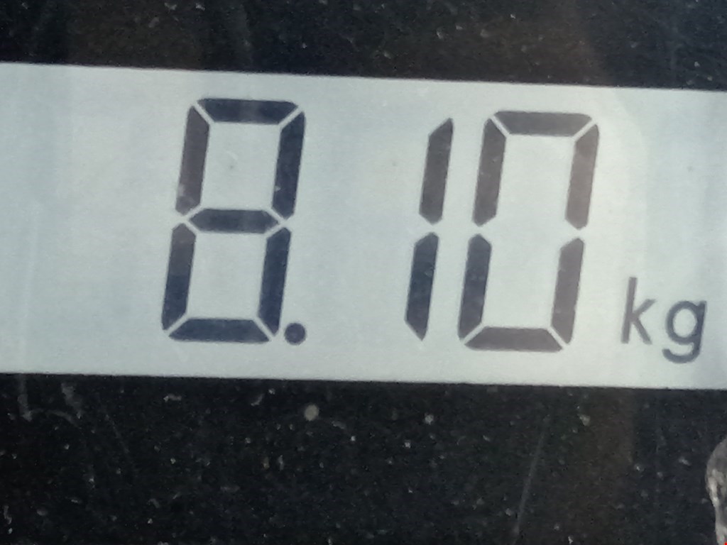 Амортизатор передний левый BMW X3 E83 2003-2010