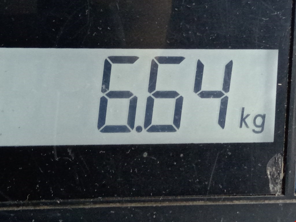 Амортизатор передний левый OPEL Astra H/Family 2004-2015