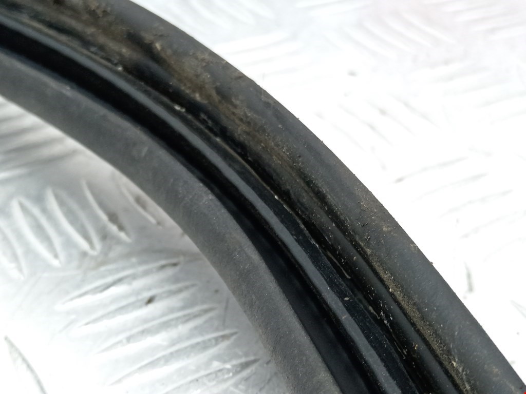 Уплотнитель (наружный) RENAULT Megane II 2002-2009