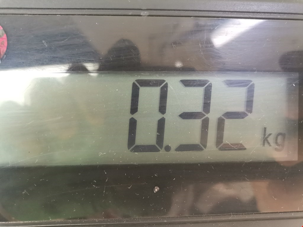 Ограничитель открывания двери BMW X5 E53 1999-2006