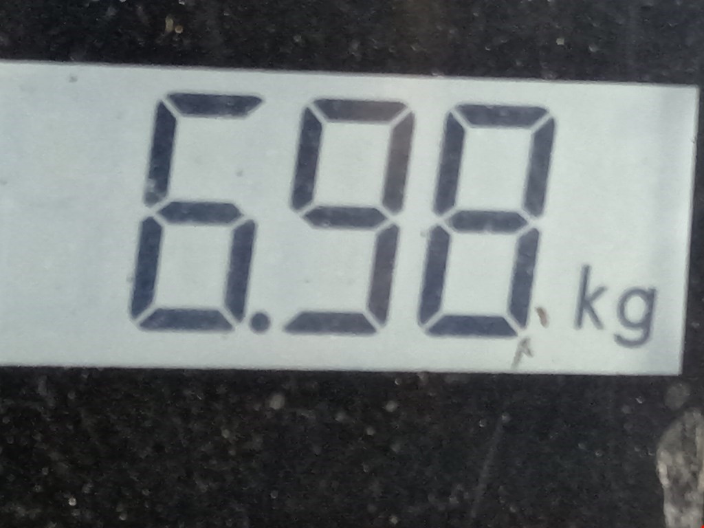 Амортизатор передний правый VOLKSWAGEN Touran 2003-2010